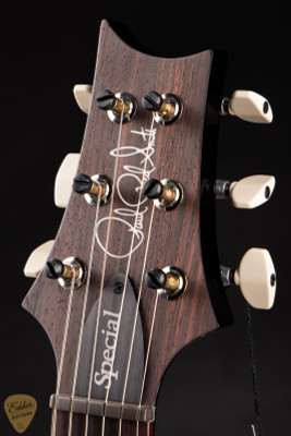 Paul Reed Smith Special Semi-Hollow Charcoal Burst electric guitars