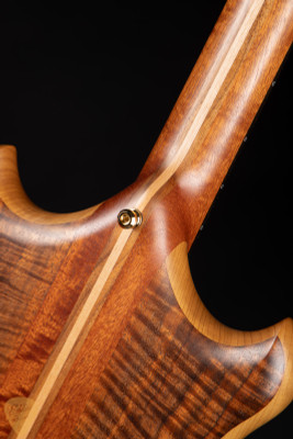 Alembic Brown Bass in Walnut