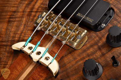 Alembic Brown Bass in Walnut