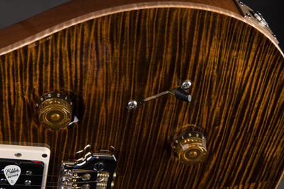 Paul Reed Smith 40th Anniversary Custom 24 Limited Edition - Tiger Eye #398460