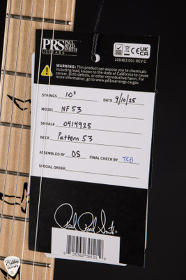 Paul Reed Smith NF53 Satin Electric Guitar in Sprayer’s Choice