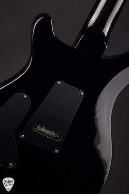 Paul Reed Smith DGT (David Grissom Trem) electric guitar in Fire Smokeburst