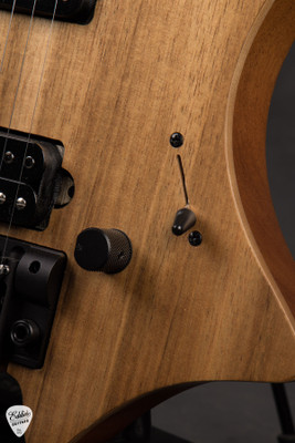 Strandberg Boden Prog NX6 Plini Edition Electric Guitar