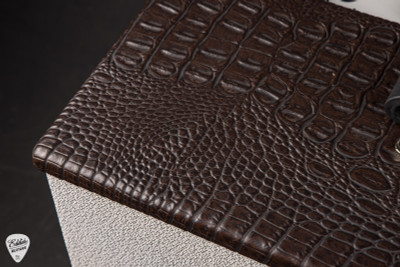 Carr Telstar 1 x 12 inch electric guitar amplifier in brown gator