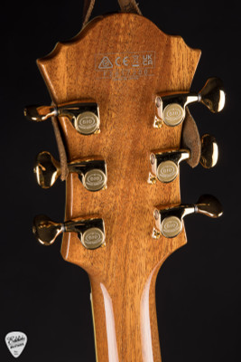 Ibanez PM200 Pat Matheny Signature Electric Guitar in Natural