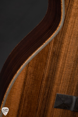 Santa Cruz Style 1 Sinker Redwood & Indian Rosewood Electric Guitar