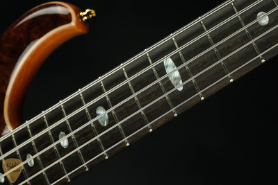 Alembic Series II V - Burl Walnut