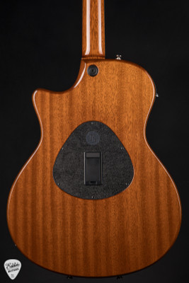 2006 - Taylor T5-S - Natural