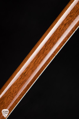 2006 - Taylor T5-S - Natural