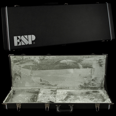 Hard shell case for esp George Lynch guitar