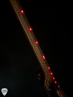 Alembic Further 6 Cocobolo Electric Guitar