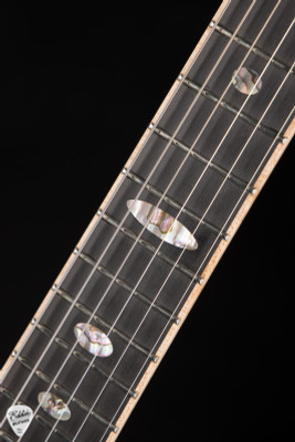 2025 Alembic Further 6 Cocobolo