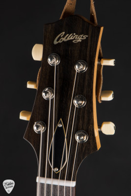 Collings 360 Baritone Aged Electric Guitar in Sherwood Green