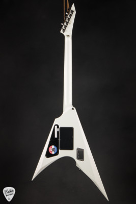 ESP Arrow Electric Guitar in Everest