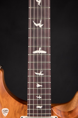 Paul Reed Smith Special Semi-Hollow Reclaimed Limited Edition Electric Guitar