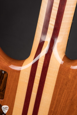Alembic Essence 5 String Bass Guitar in Ziricote