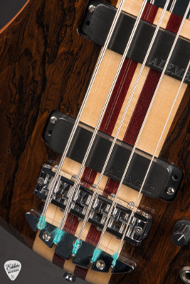 Alembic Essence 5 String Bass Guitar in Ziricote
