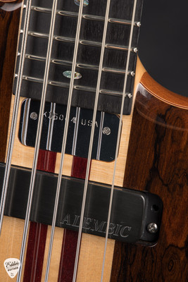 Alembic Essence 5 String Bass Guitar in Ziricote