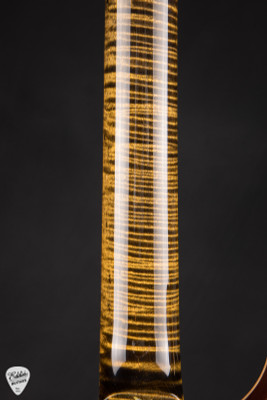 Paul Reed Smith Private Stock #12134 McCarty Tree of Life Brazilian Bronze Electric Guitar