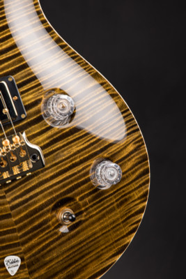 Paul Reed Smith Private Stock #12134 McCarty Tree of Life Brazilian Bronze Electric Guitar