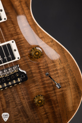 Paul Reed Smith Private Stock #12144 Custom 24 Semi Hollow Walnut/Brazilian Electric Guitar
