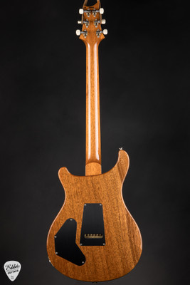 Paul Reed Smith DGT (David Grissom Trem) Semi-Hollow Sprayer’s Choice Electric Guitar