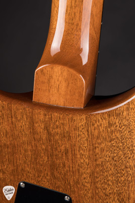 Paul Reed Smith DGT (David Grissom Trem) Semi-Hollow Sprayer’s Choice Electric Guitar