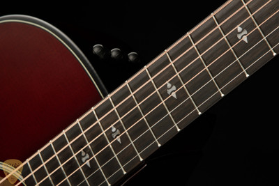 Taylor 50th Anniversary Builder's Edition 314ce - Kona Burst