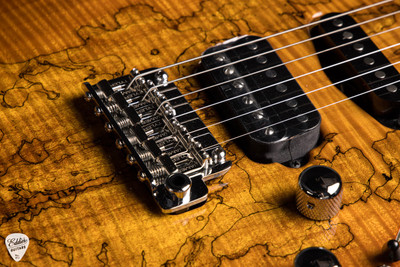 James Tyler Studio Elite HD-P Spalted Maple Honey Burst electric guitar