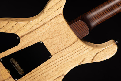 Paul Reed Smith Eddie’s Guitars Wood Library DGT/Swamp Ash/Torrefied Maple Neck/Ebony FB Egyptian Gold Metallic Top electric guitar