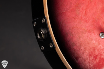 Paul Reed Smith Eddie’s Guitars Wood Library Custom 24 Semi-Hollow Korina/Ziricote – Bonnie Pink Smokeburst electric guitar