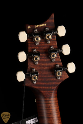 Paul Reed Smith Eddie's Guitars Wood Library DGT Swamp Ash/Torrefied Maple Neck/Ebony Board -Jewel Lime Metallic