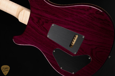 2024 - Paul Reed Smith Eddie's Guitars Wood Library DGT (David Grissom Trem)Swamp Ash/Figured Maple Neck Aquableux Purple Burst