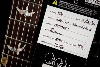 2024 - Paul Reed Smith Special Semi-Hollow - Charcoal