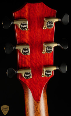 Taylor Custom GO - Honduran Rosewood/Adirondack Spruce