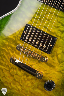 Gibson Custom Shop PSL Les Paul Ultima "Tree of Life" Iguana Burst 9.11 #CS600155