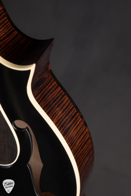 Collings MF Deluxe Mandolin Black Top with Adirondack Spruce & Flamed Maple