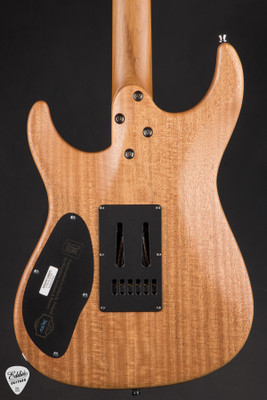 Mayones Aquila Emory 6 - Emory Burst Electric Guitar