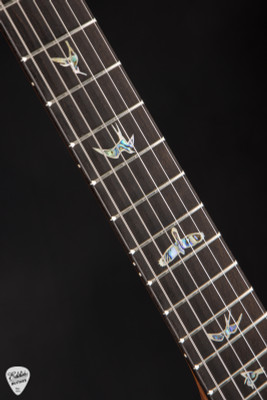 PRS Eddie's Guitars Wood Library Modern Eagle V Rosewood Neck Platinum Metallic Electric Guitar