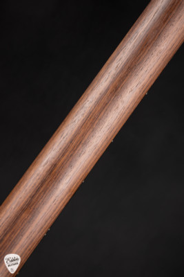 PRS Eddie's Guitars Wood Library Modern Eagle V Rosewood Neck Platinum Metallic Electric Guitar