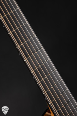 Irvin SP Signature Parlor Acoustic Guitar with Prince of Wales Western Red Cedar and Indian Rosewood