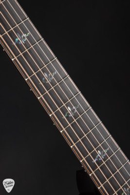 Taylor Next Generation Builder's Edition 914ce Honduran Rosewood and Sinker Redwood Acoustic Guitar