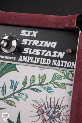 Amplified Nation Six String Sustain Combo 50W 1x12 Combo Maroon Suede and Medieval Pantry
