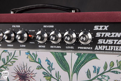 Amplified Nation Six String Sustain Combo 50W 1x12 Combo Maroon Suede and Medieval Pantry