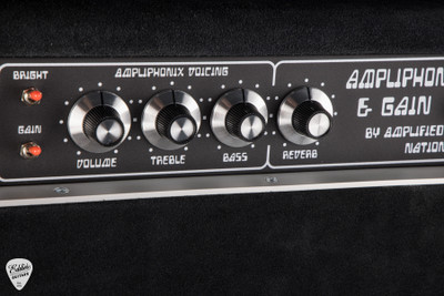 Amplified Nation Ampliphonix and Gain 100w Head with 2x12 Speaker Cab Black Suede and Saturn Devouring His Son Guitar Head and Cabinet