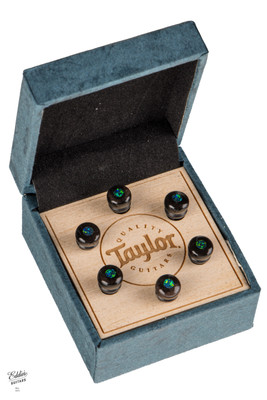Taylor Custom Water Buffalo Bone Bridge Pins Brown with Green Opal Inlays