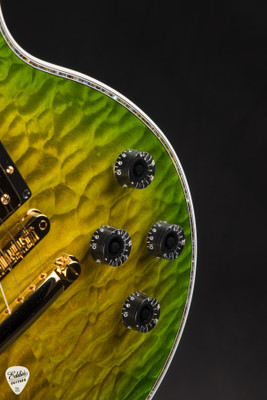 Gibson Custom Shop Dealer Select Les Paul Ultima Tree of Life Iguana Burst Electric Guitar