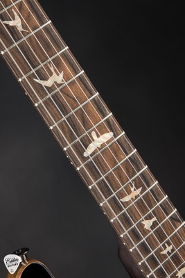 PRS Special Semi Hollow Mantis Burst Electric Guitar