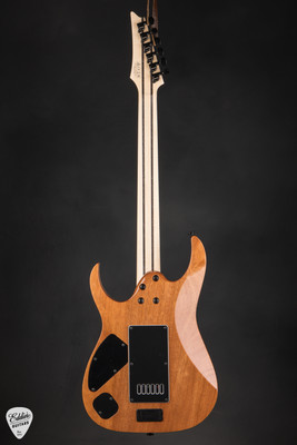 Ibanez RGR5121RET Polar Lights Electric Guitar