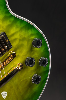 Gibson Custom Shop Dealer Select Les Paul Ultima Tree of Life Iguana Burst Electric Guitar